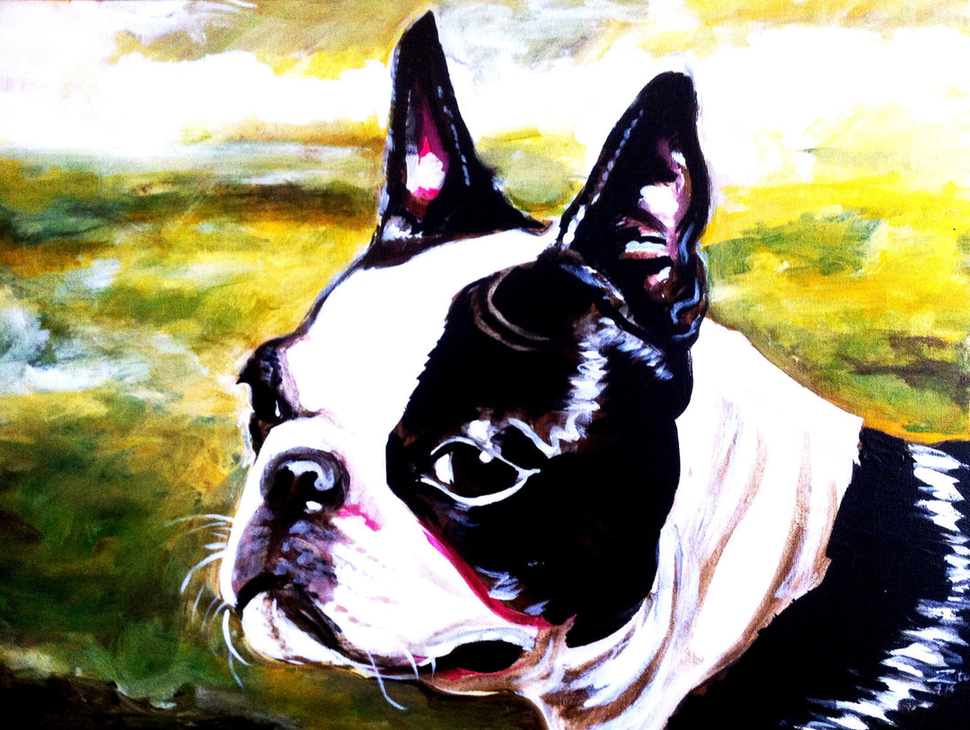 Boston Terrier Acrylic Portrait