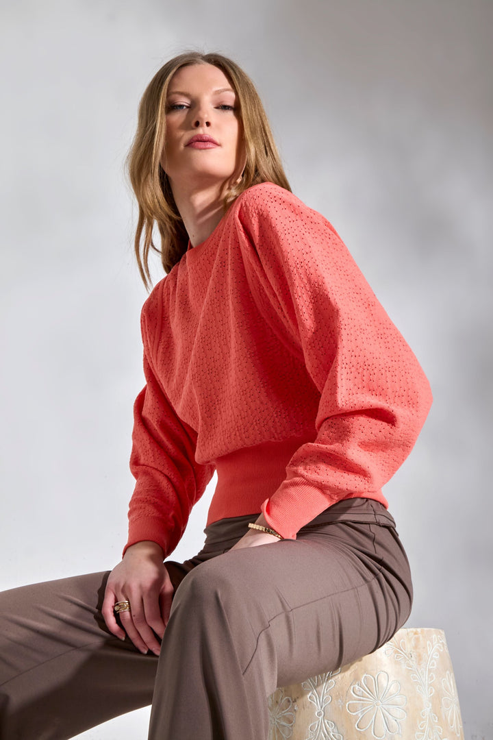 THE TRITON SWEATER