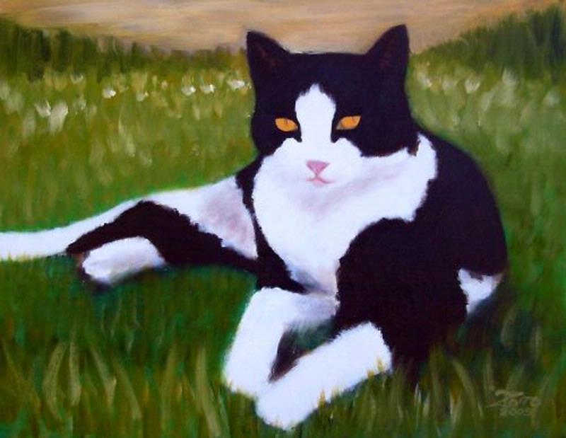 Sammy The Cat Oil Portrait