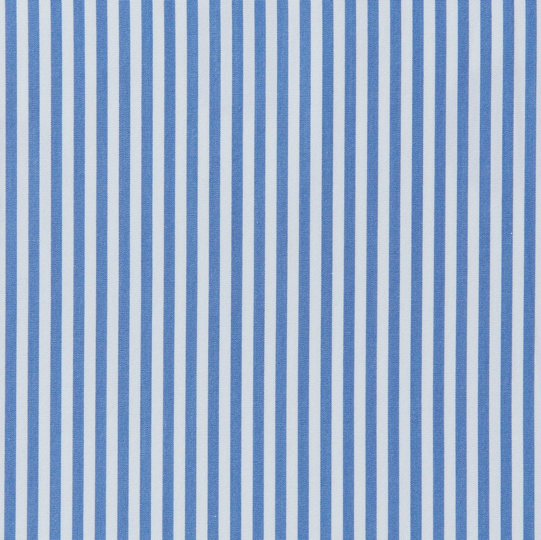 Blue and White striped fabric swatch.
