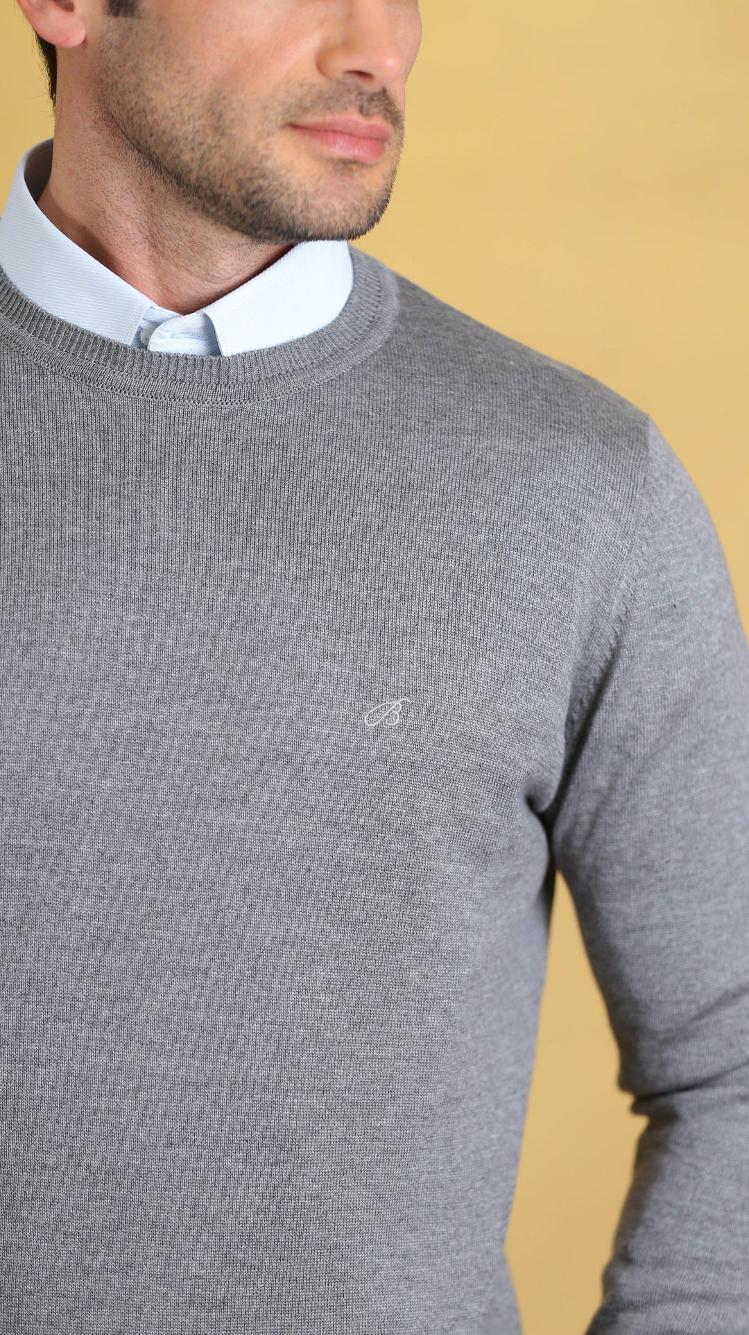 The caravan crewneck(Pure platinum)