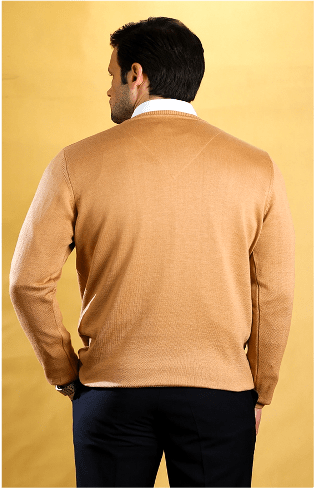 The Caravan Vneck (Sahara Beige)