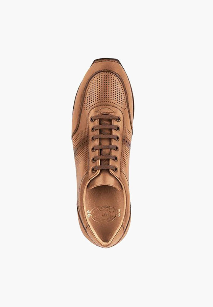 Toronto Sneakers Brandy