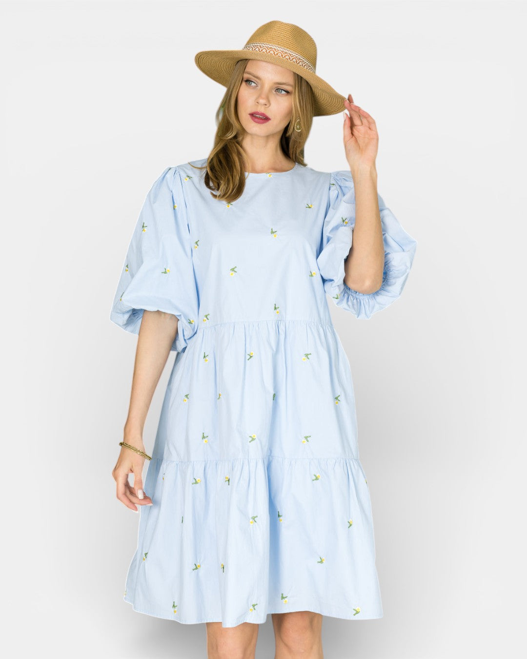 Weslee Cotton Poplin Dress with Embroidered Summer Flowers 33086W / White / XS